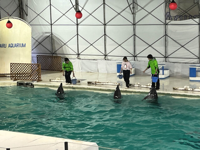 親子ふれあいクルーズ続編